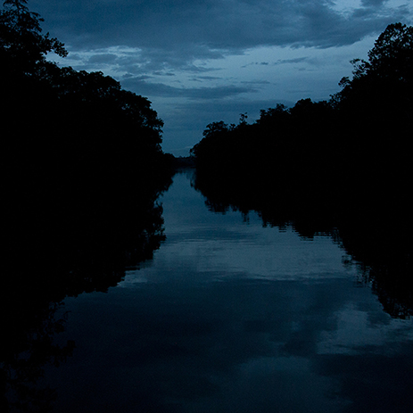 AMAZONAS 3 rio mosaico galeria_MG_0430.jpg